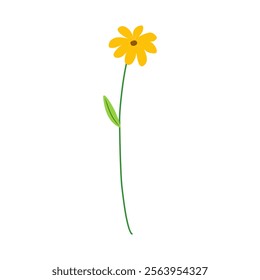 Yellow Flower Isolated on White Background. Simple composition with artistic flowers. Vector Illustration