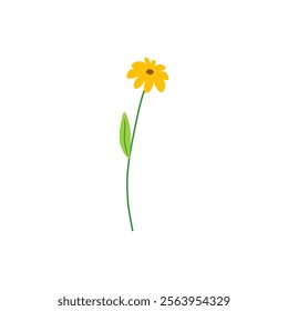 Yellow Flower Isolated on White Background. Simple composition with artistic flowers. Vector Illustration