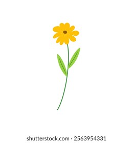 Yellow Flower Isolated on White Background. Simple composition with artistic flowers. Vector Illustration