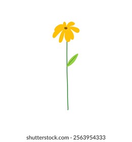 Yellow Flower Isolated on White Background. Simple composition with artistic flowers. Vector Illustration