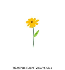 Yellow Flower Isolated on White Background. Simple composition with artistic flowers. Vector Illustration