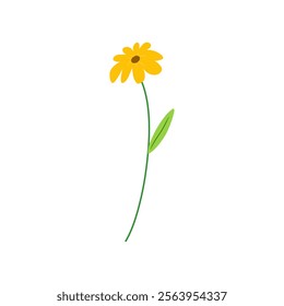 Yellow Flower Isolated on White Background. Simple composition with artistic flowers. Vector Illustration