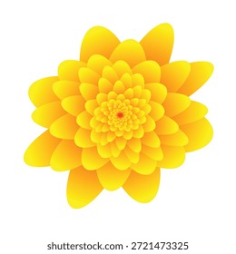 Flor amarela isolada sobre fundo branco.