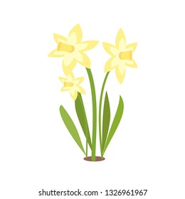 yellow flower. Isolated vector illustration