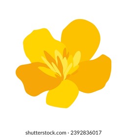 yellow flower with large petals. sun petals square poster. Tróllius
