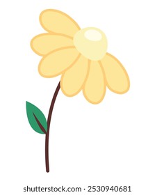 yellow flower and leaf isolated