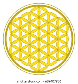 Yellow Flower of Life icon vector