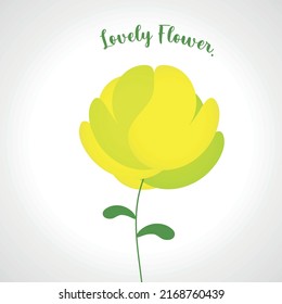 Yellow flower nature florist rose
