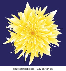 Flor amarilla y nueva obra de arte 