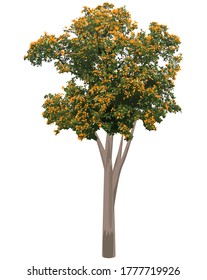 yellow flower on  tree vector design