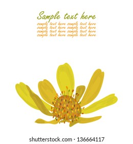 Yellow flower on white background. Vector illustration