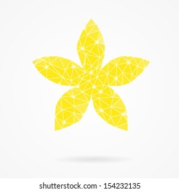 Yellow flower on white background