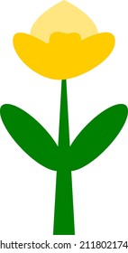 yellow flower on white background