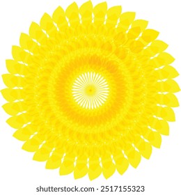 Yellow flower on a white background