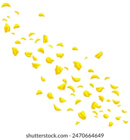 Yellow Flower Petals Cherry Blossom Rose Falling Flowers Illustration Vector Art