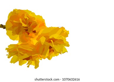 yellow flower polygon,with white isolated, blooming flora geometric, low poly effect, vector art and illustration. 