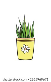 Yellow flower pot with decorative grass, plant. Hand drawn simple outline vector color illustration in doodle style, isolated. Design element, clip art for decoration