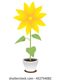 yellow flower in pot vector design