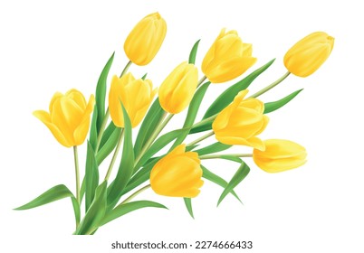 Yellow flower. Realistic 3d bouquet of top easter tulip. Beautiful floral romantic spring object. decorative Vector neoteric colorful blossoms. Illustration isolated on white background