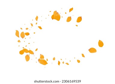 Yellow Flower Spring Vector White Background. Dutch Floral Frame. Delicate Tulip Blur Template. Beautiful Blossom Fall Illustration.