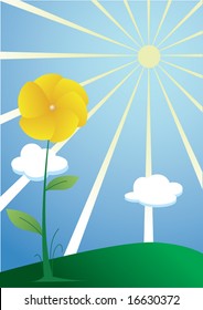yellow flower under sun on green hill