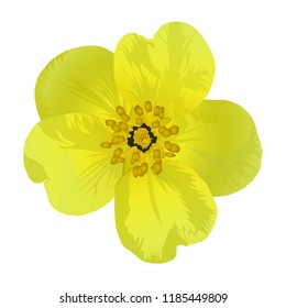Yellow flower. Vector illustration.
