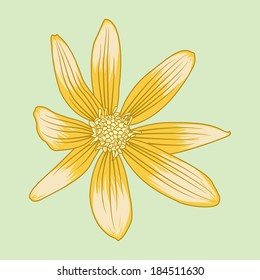 yellow flower vector illustration