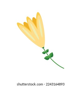 Ilustración vectorial de flores amarillas. Dibujo de una flor amarilla. Vacaciones de verano, decoración, naturaleza, paraíso, concepto de comida para tarjeta de saludo