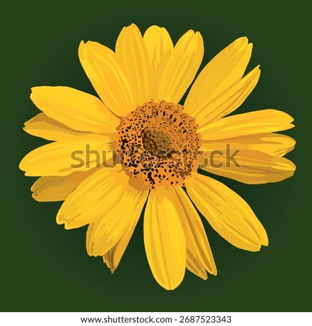 Yellow flower. Vector illustration. Real flower. Hand drawn.