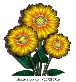 yellow flowers
