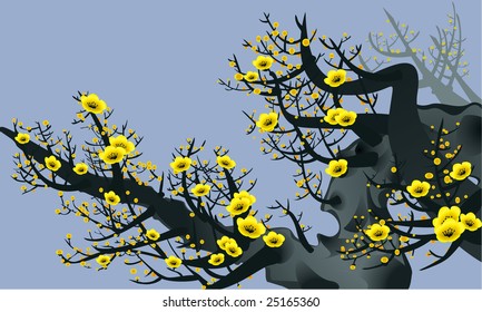 yellow flowers