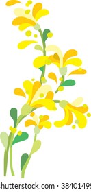 yellow flowers