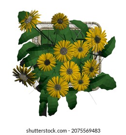 Yellow flowers in a basket isolated on white background. Chamomiles in a basket Top view. 3D. Vector illustration