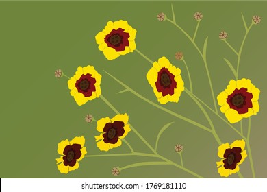 Yellow flowers blooming with green background