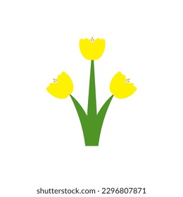 Yellow flowers blooming in spring and summer on white background. (seasonal, park, garden, plant, floral, blooming in spring, summer, outdoors)