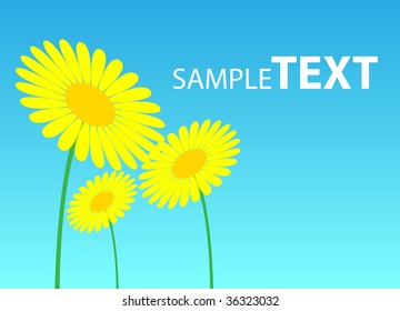 yellow flowers with blue background