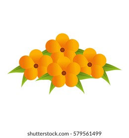 yellow flowers bouquet floral design with leaves