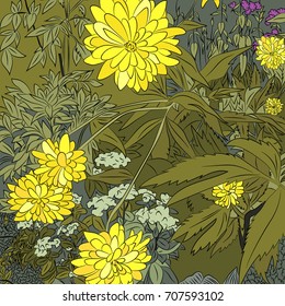 Yellow flowers, chrysanthemum. Vector illustration, bright, hand-drawn