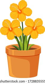 Yellow flowers in clay pot on white background illustration