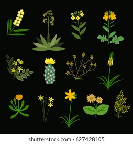 Yellow flowers collection