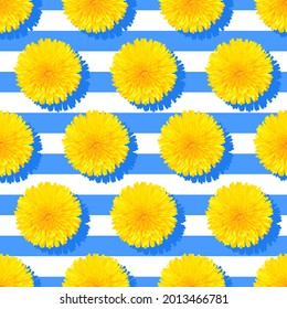 yellow flowers dandelions seamless pattern.  Texture for fabric, wallpaper, decorative print. Vector illustration.