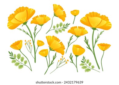 Yellow flowers of Echscholtzia. California golden poppy. Collection of yellow spring flowers. California poppy. Vector illustration.