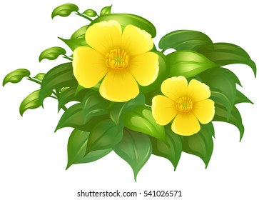 Yellow flowers in green bush illustration