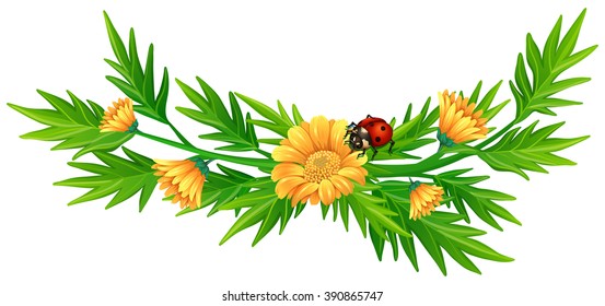 Yellow flowers and ladybug illustration