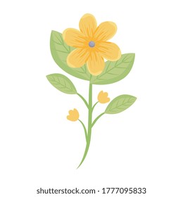 yellow flowers with leaves design, natural floral nature plant ornament garden decoration and botany theme Vector illustration