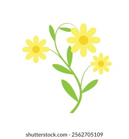 yellow flowers with leaves design, natural floral nature plant ornament garden decoration and botany theme Vector illustration