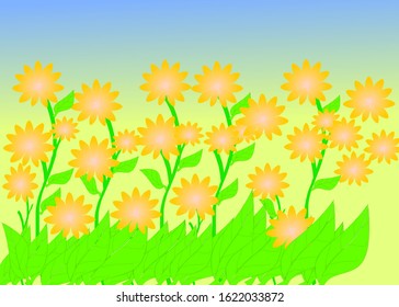 Yellow flowers meadow for spring background