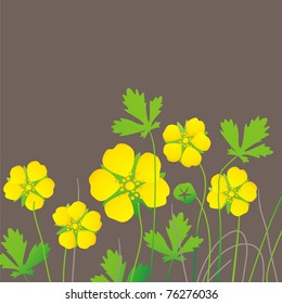 yellow flowers on dark background