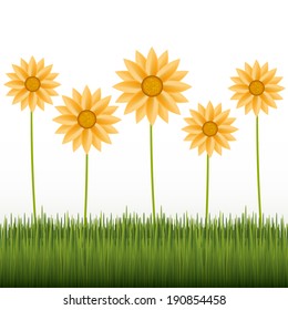 yellow flowers on green grass