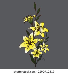 A yellow flowers on a grey background